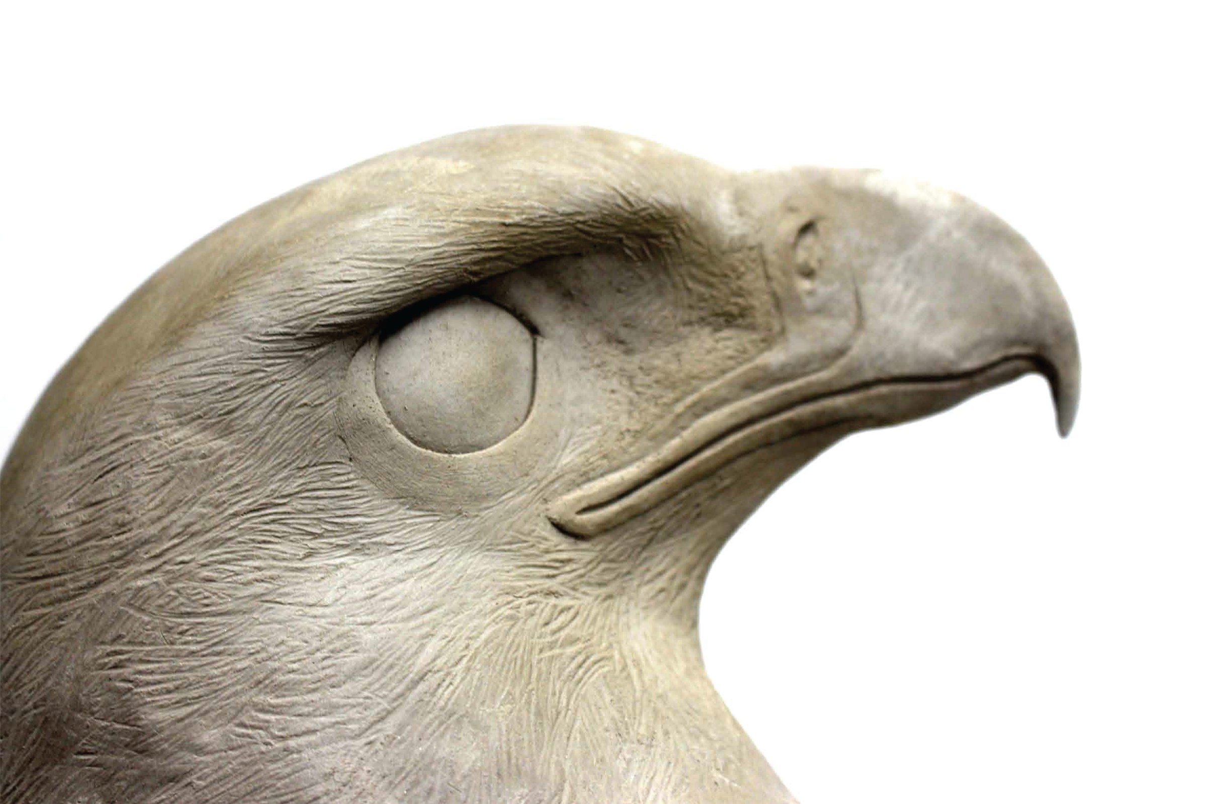 Sculpted eagle head, detail