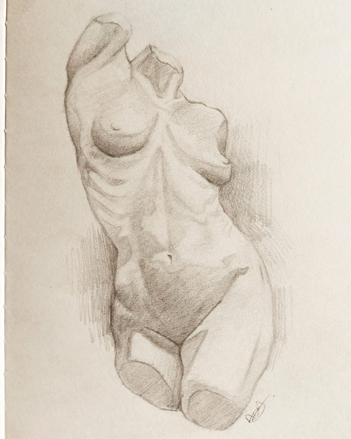 Graphite study 09